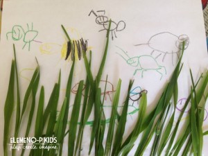 Book about Grass for Kids