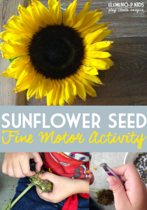 Sunflower Seed fine motor activity