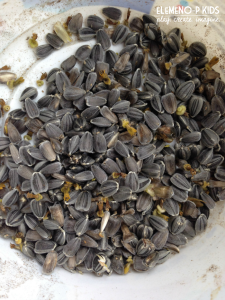 Sunflower Seeds for fine motor activity